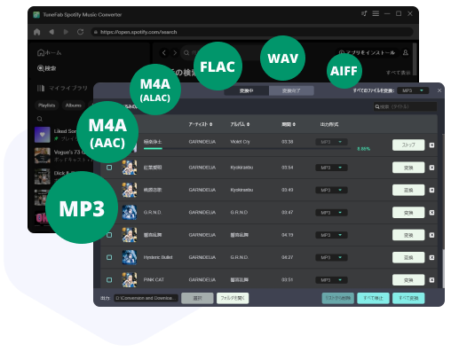 Embedded Spotify Web Player with Auto Playlist Analysis